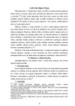 Referāts 'Pētniecības tēmas izvēle un pamatojums. Pētījuma struktūra. Pētniecības ētika. L', 13.