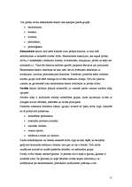 Referāts 'Patērētāja uzvedības loģika tirgū', 11.