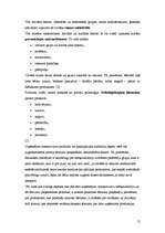 Referāts 'Patērētāja uzvedības loģika tirgū', 12.