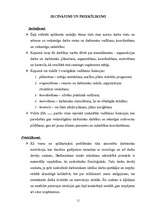 Referāts 'Mārketinga procesi uzņēmumā', 11.