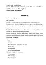 Referāts 'Konflikti', 1.