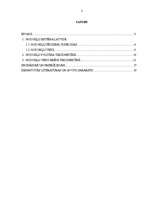 Referāts 'Nodokļu politika tirdzniecībā', 1.