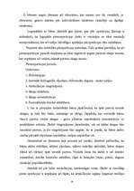 Diplomdarbs 'Rinolālija un tās novēršanas iespējas pirmsskolas vecumā', 18.