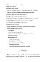 Diplomdarbs 'Rinolālija un tās novēršanas iespējas pirmsskolas vecumā', 32.