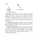 Diplomdarbs 'Rinolālija un tās novēršanas iespējas pirmsskolas vecumā', 34.