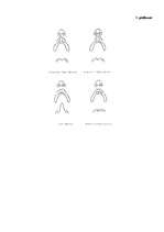 Diplomdarbs 'Rinolālija un tās novēršanas iespējas pirmsskolas vecumā', 53.