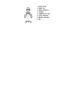 Diplomdarbs 'Rinolālija un tās novēršanas iespējas pirmsskolas vecumā', 54.