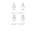 Diplomdarbs 'Rinolālija un tās novēršanas iespējas pirmsskolas vecumā', 55.