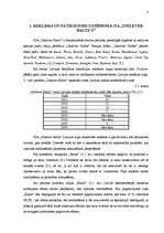 Referāts 'Reklāma un patiesīgums', 8.