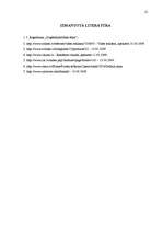 Referāts 'Reklāma un patiesīgums', 12.