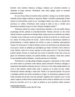 Referāts 'Totalitārisma vispārīgs raksturojums', 8.