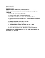 Konspekts 'Sporta nodarbība "Ceļā pie zaķa"', 1.