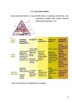 Referāts 'Aptaukošanās problēmas mūsdienās', 12.