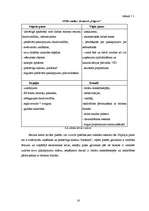 Referāts 'Klientu tirgus izpēte un potenciālo klientu apjoma prognozēšana viesnīcā "Jelgav', 16.