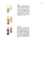 Referāts 'Uzņēmuma a/s "Aldaris" mārketinga vides un stratēģijas analīze un darbības plāno', 44.