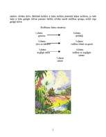 Referāts 'Bībeles teorija par cilvēka rašanos', 5.