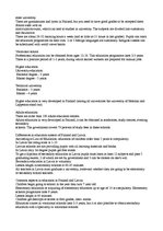 Eseja 'Education System in Finland', 3.