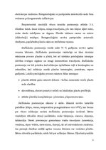 Konspekts 'Pneimonijas bērnu vecumā, klasifikācija, klīnika, ārstēšana un rehbilitācija', 9.