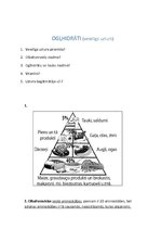 Konspekts 'Ogļhidrāti', 1.