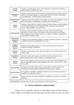 Referāts 'Tūrisma plānošana Liepājā', 9.