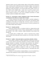 Referāts 'Tūrisma plānošana Liepājā', 23.