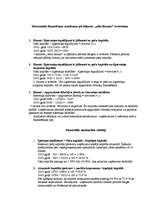 Konspekts 'SIA "XXX Auto" bilances analīze', 4.