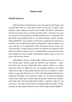 Referāts 'Šenona - Vīvera komunikācijas modelis', 3.