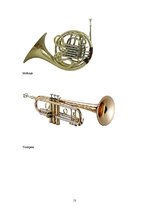 Referāts 'Klasicisma laika mūzika', 13.