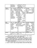 Konspekts 'Trīs konkurējošu tūrisma uzņēmumu pozicionēšanas izvērtējums. "Maritim Park Hote', 2.