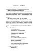 Referāts 'Sociālās lomas un pirkstiņlelles', 2.