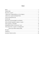 Referāts 'Ķīnas izaugsmes perspektīvas', 2.