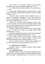 Referāts 'Profesionālās atbildības apdrošināšana', 10.