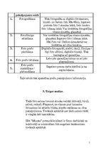 Biznesa plāns 'Fotosalons SIA "Minoks"', 5.