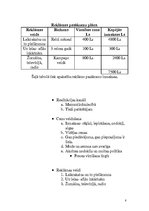 Biznesa plāns 'Fotosalons SIA "Minoks"', 8.