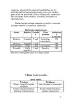 Biznesa plāns 'Fotosalons SIA "Minoks"', 10.