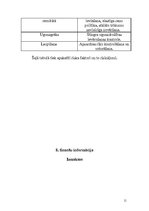 Biznesa plāns 'Fotosalons SIA "Minoks"', 11.