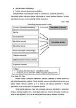 Referāts 'Pašvaldību budžeta analīze Latvijā', 15.