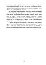 Referāts 'Pašvaldību budžeta analīze Latvijā', 29.