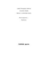 Eseja 'Estētiskā gaume', 1.