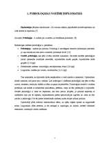 Referāts 'Jauniešu karjeras izvēli ietekmējošie faktori', 5.