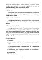 Referāts 'Jauniešu karjeras izvēli ietekmējošie faktori', 8.