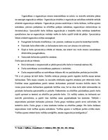 Konspekts 'Vadīšanas funkcijas. Organizēšanas būtība. Organizācijas struktūras veidošana', 2.