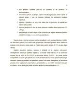 Referāts 'Hipotekārais kredīts', 11.