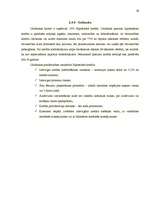 Referāts 'Hipotekārais kredīts', 19.