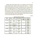 Referāts 'Hipotekārais kredīts', 21.