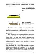 Referāts 'Jaunākās tendences ceļu segumu būvniecībā', 5.