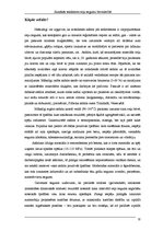 Referāts 'Jaunākās tendences ceļu segumu būvniecībā', 10.