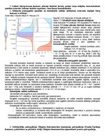 Konspekts 'Asinsrites fizioloģija', 2.