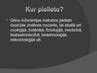 Prezentācija 'Biotehnoloģijas pielietojums medicīnā', 7.