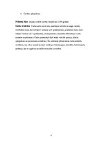 Referāts 'Fizioterapija', 4.